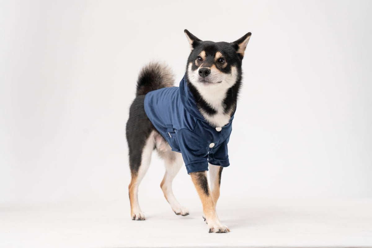 Huston Hoodie-Midnight Blue