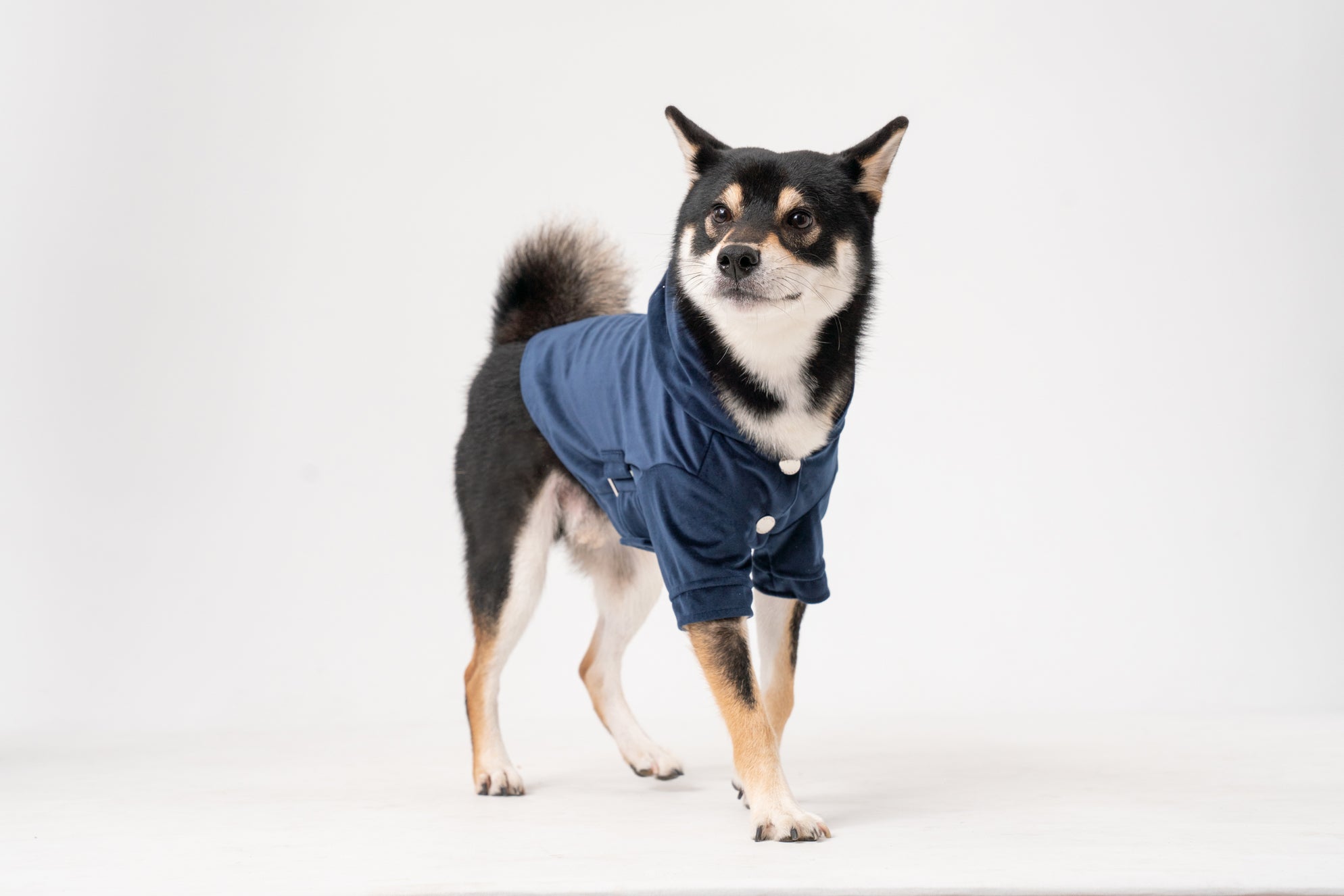 Huston Hoodie-Midnight Blue