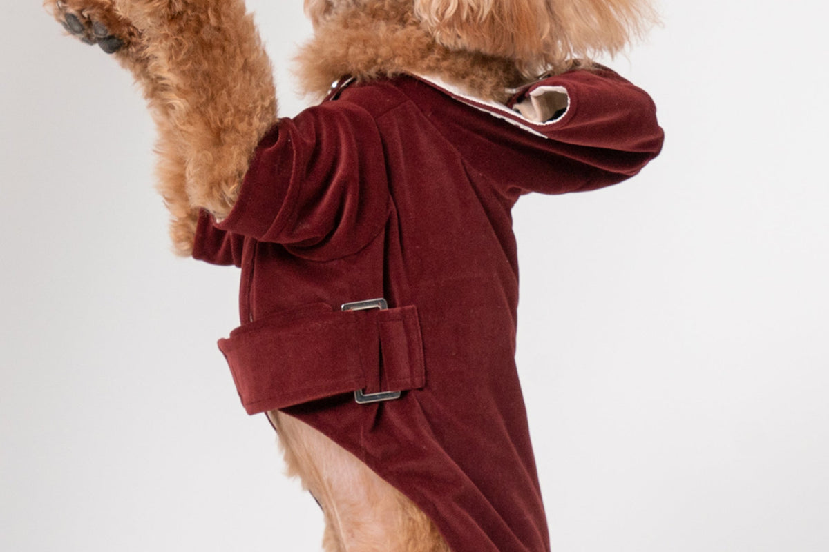 Huston Hoodie-Dark Burgundy