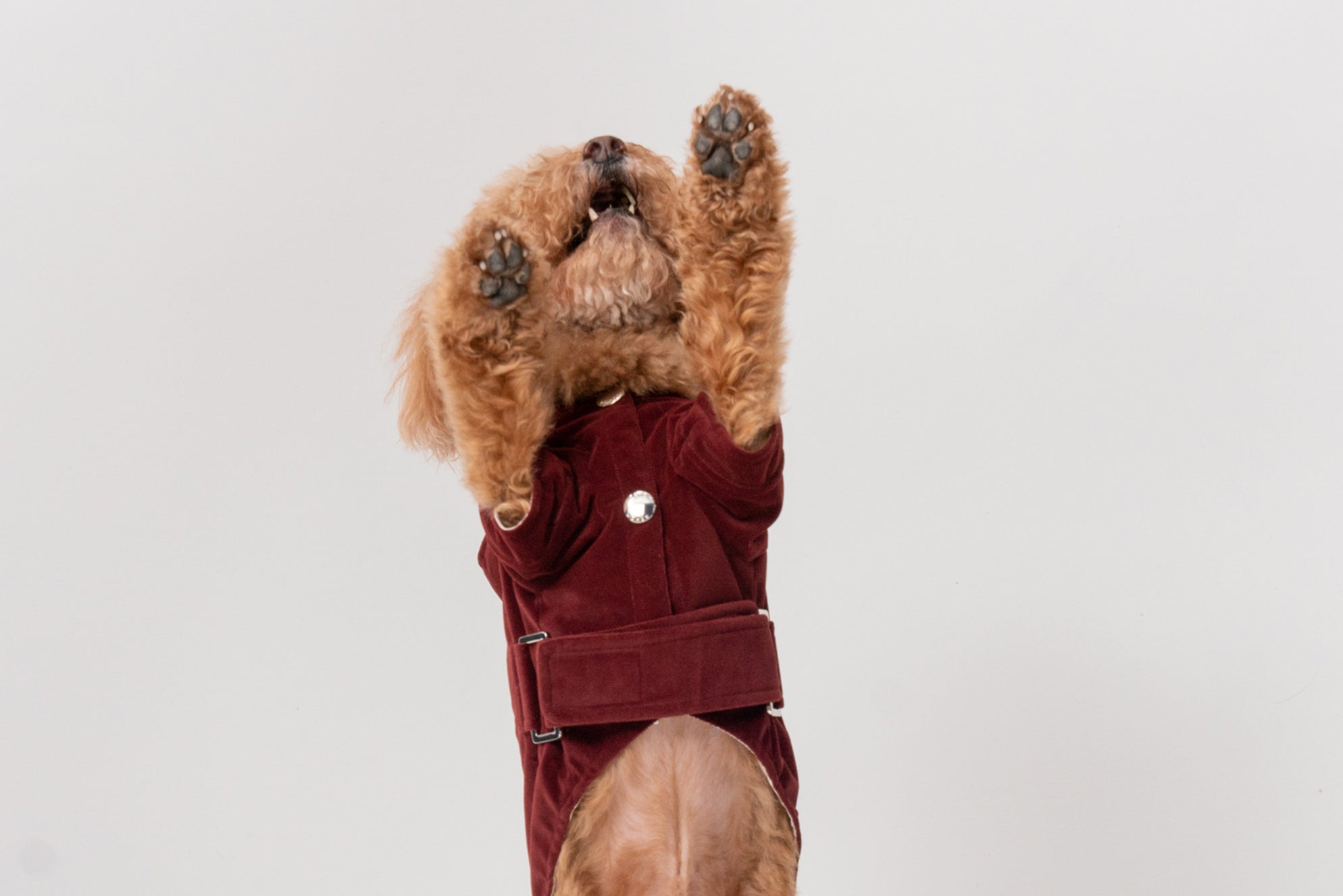 Huston Hoodie-Dark Burgundy