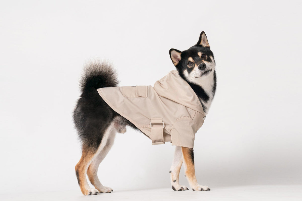 Bowery Raincoat-Beige