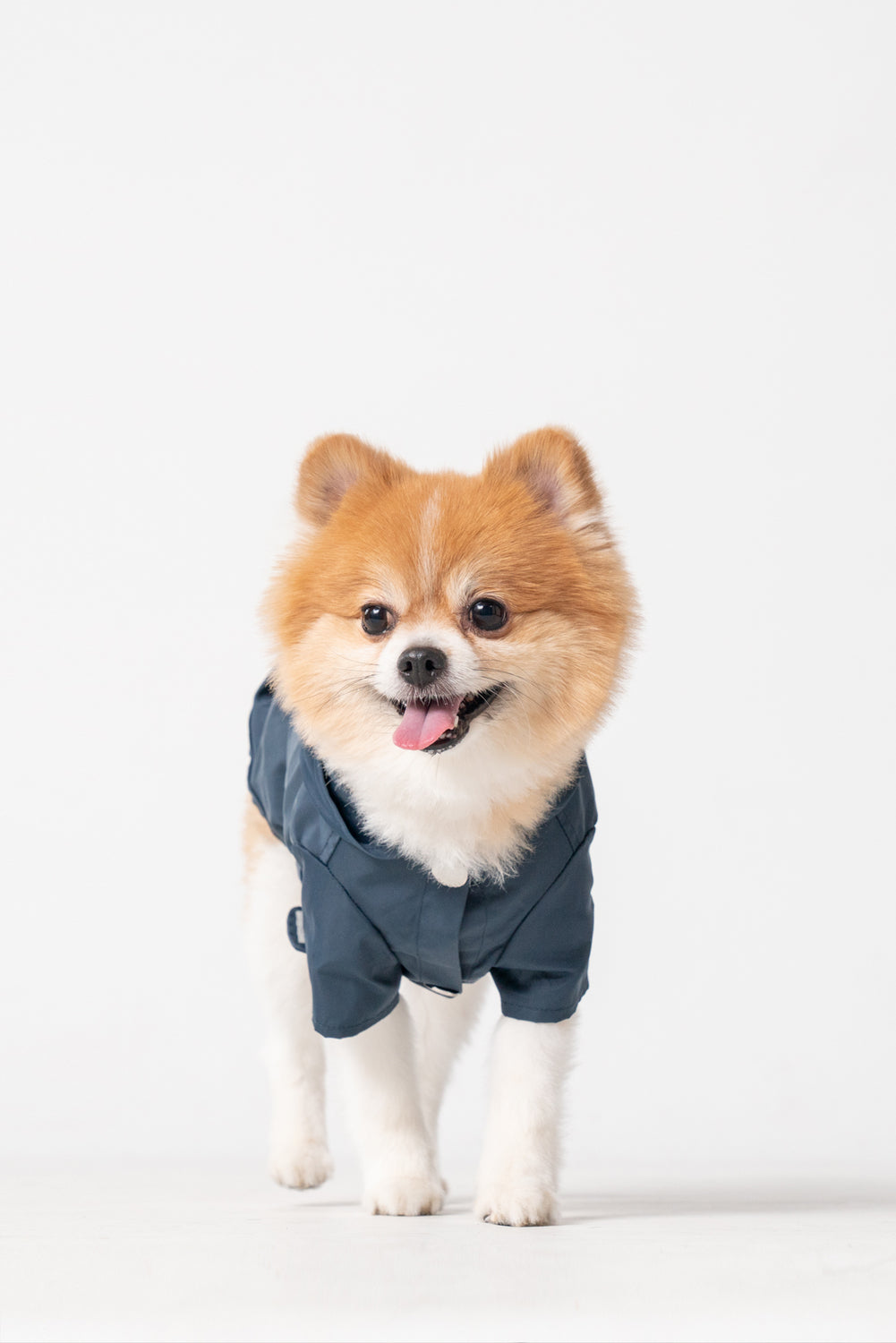 Bowery Raincoat-Blue
