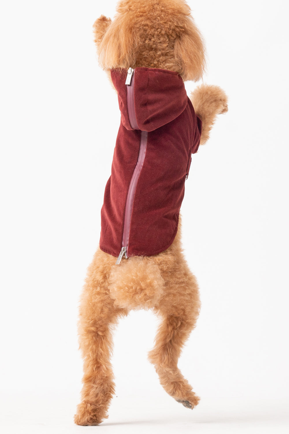 Huston Hoodie-Dark Burgundy
