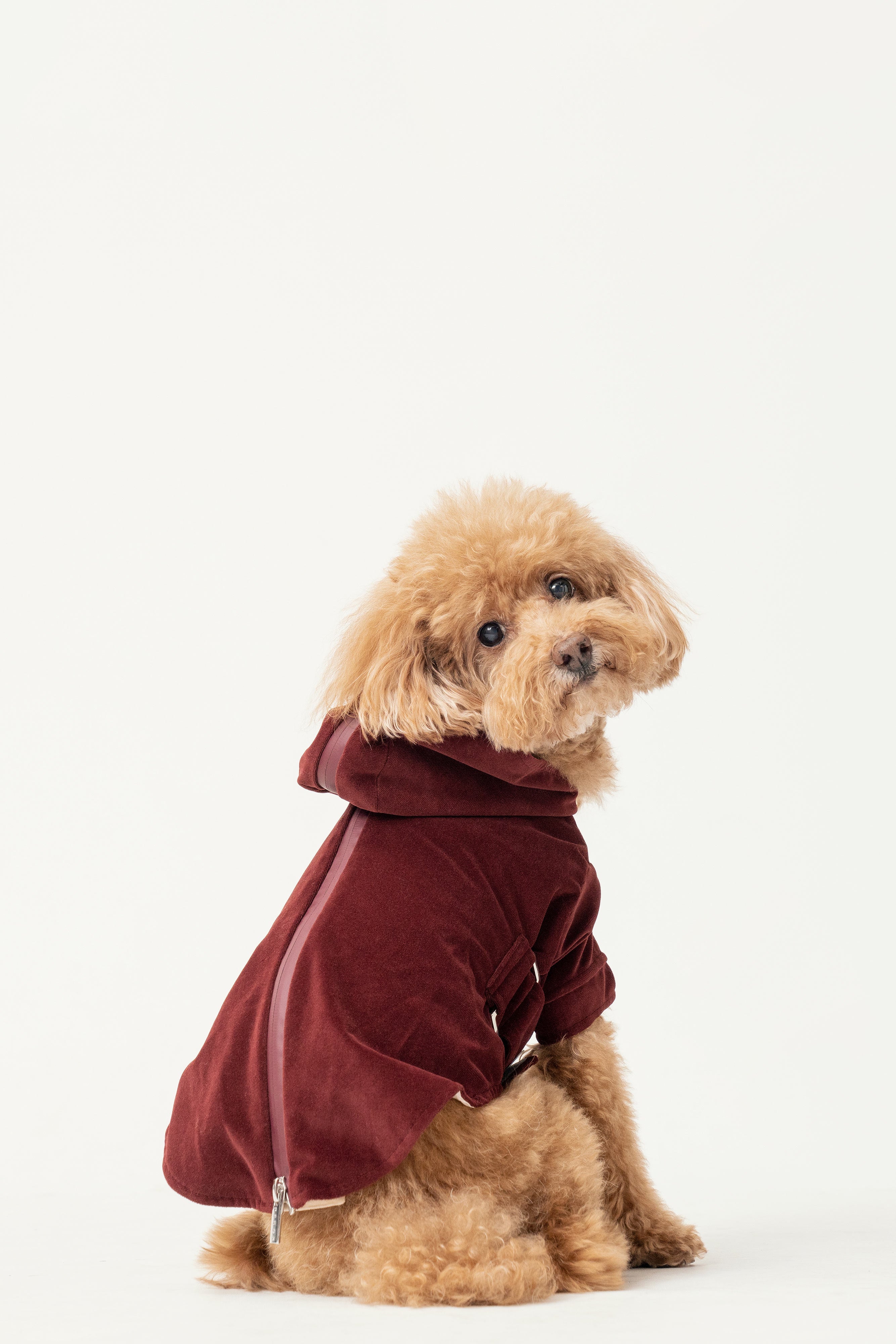Huston Hoodie-Dark Burgundy