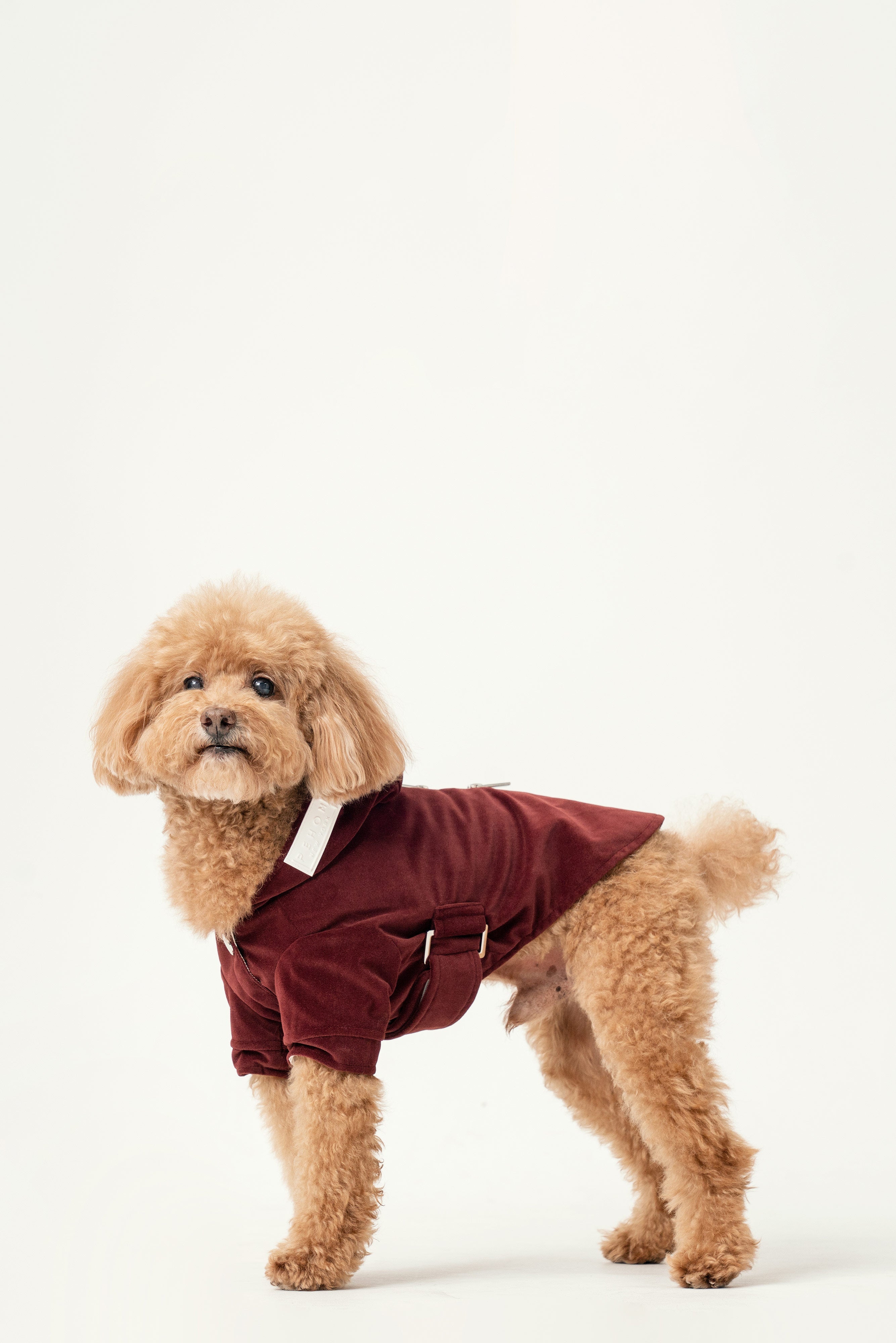 Huston Hoodie-Dark Burgundy