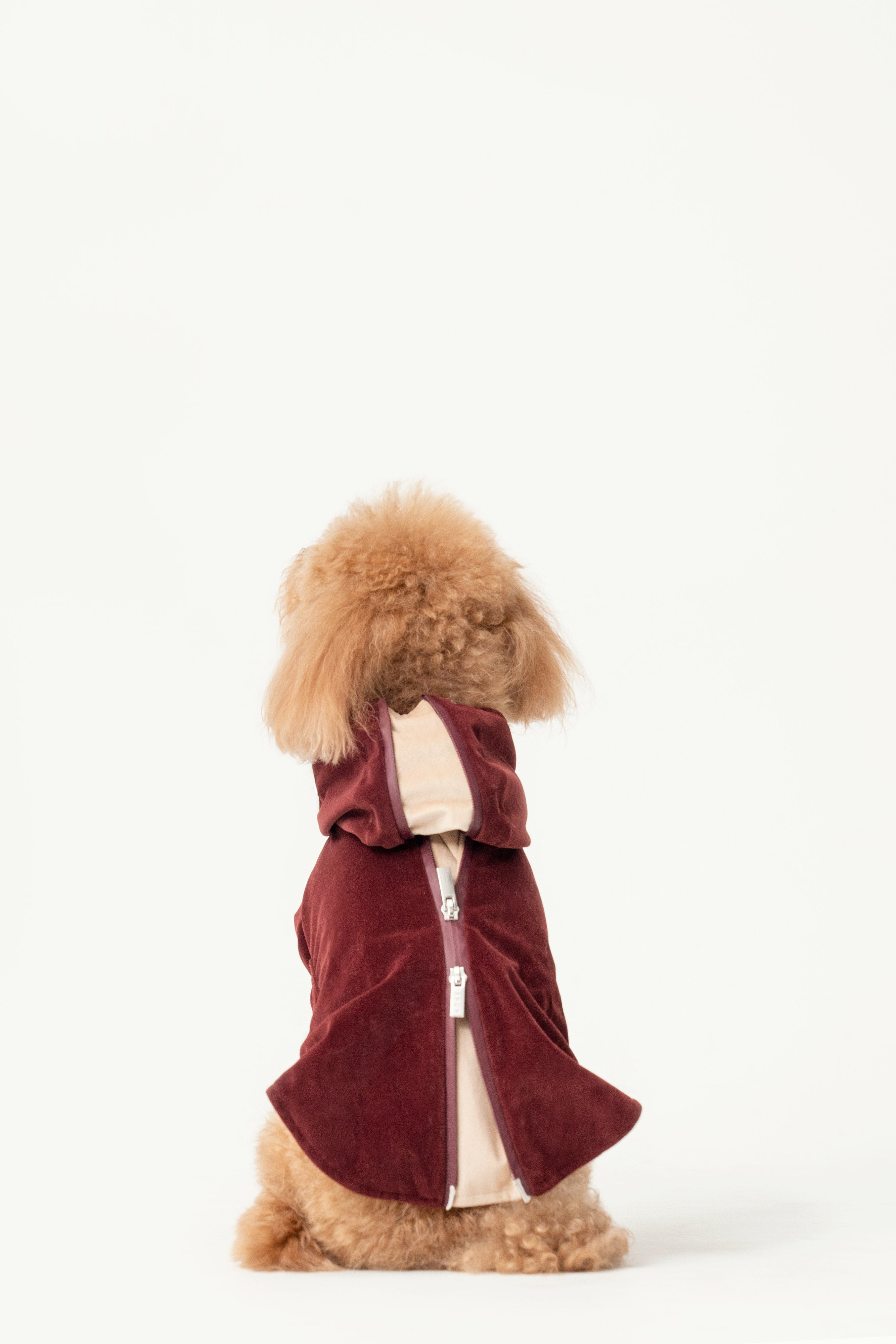Huston Hoodie-Dark Burgundy