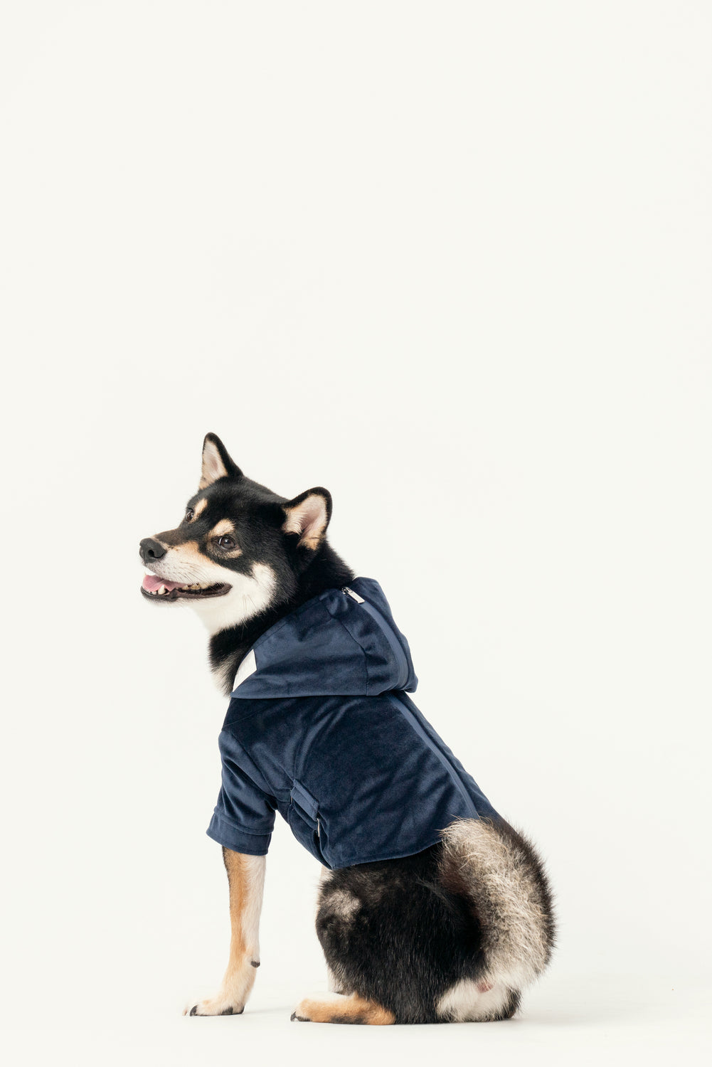 Huston Hoodie-Midnight Blue