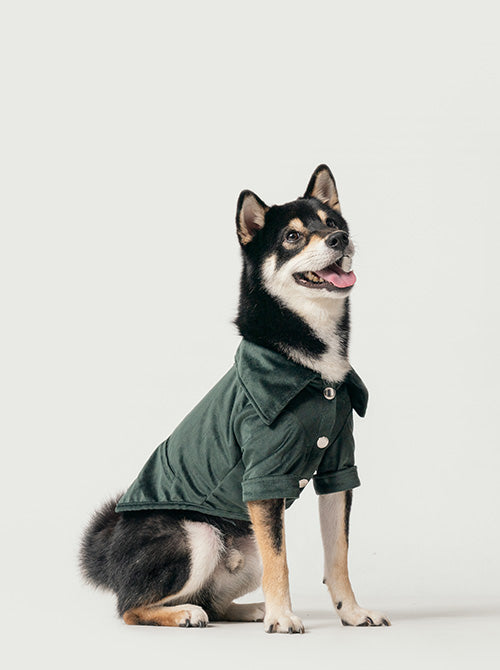 Stainway Shirt-Green
