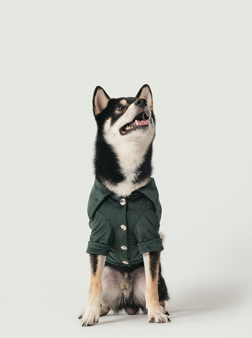 Stainway Shirt-Green