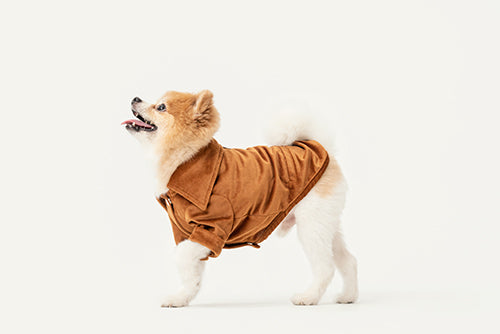 Stainway Shirt-Orange