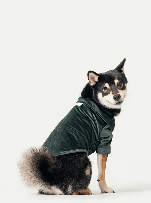 Stainway Shirt-Green