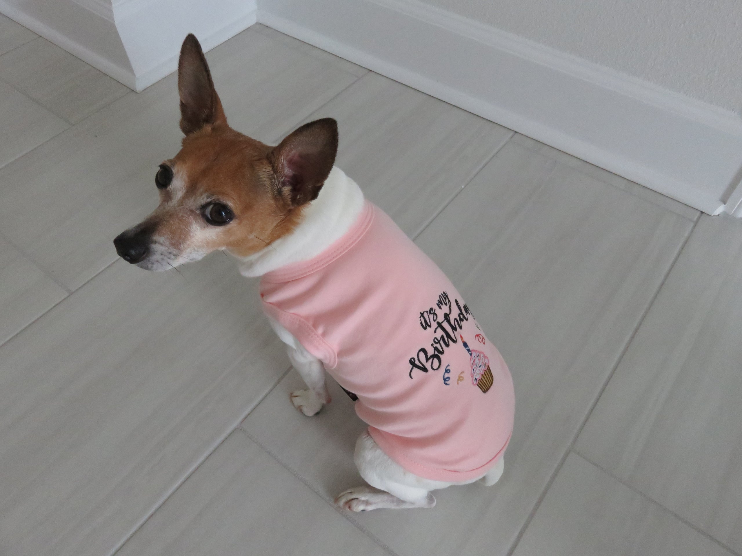 Parisian Pet Birthday Girl Dog T-Shirt-Pink