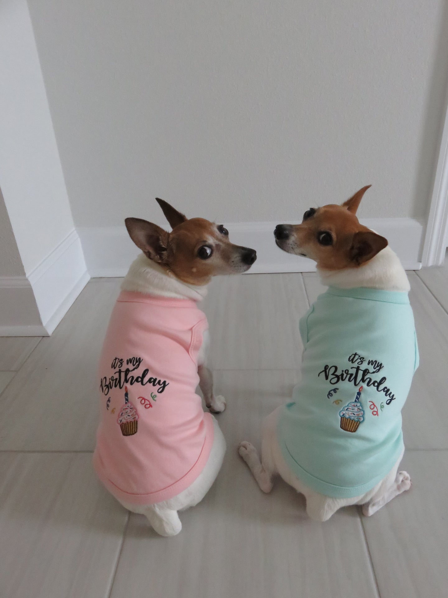 Parisian Pet Birthday Boy Fun Slogan Dog T-Shirt-Blue