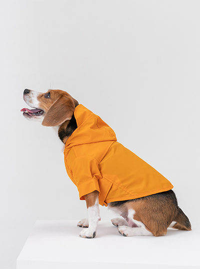 Tribeca Adjustable Velcro Raincoat-Egg Yolk