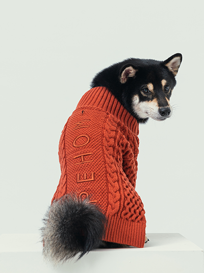 Bert Cardigan Sweater-Orange
