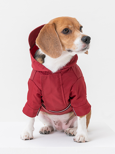 Tribeca Adjustable Velcro Raincoat-Burgundy