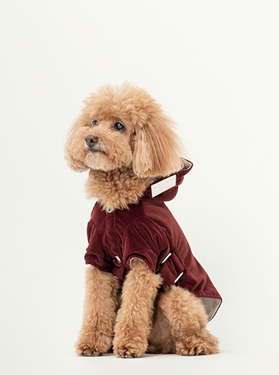 Huston Hoodie-Dark Burgundy
