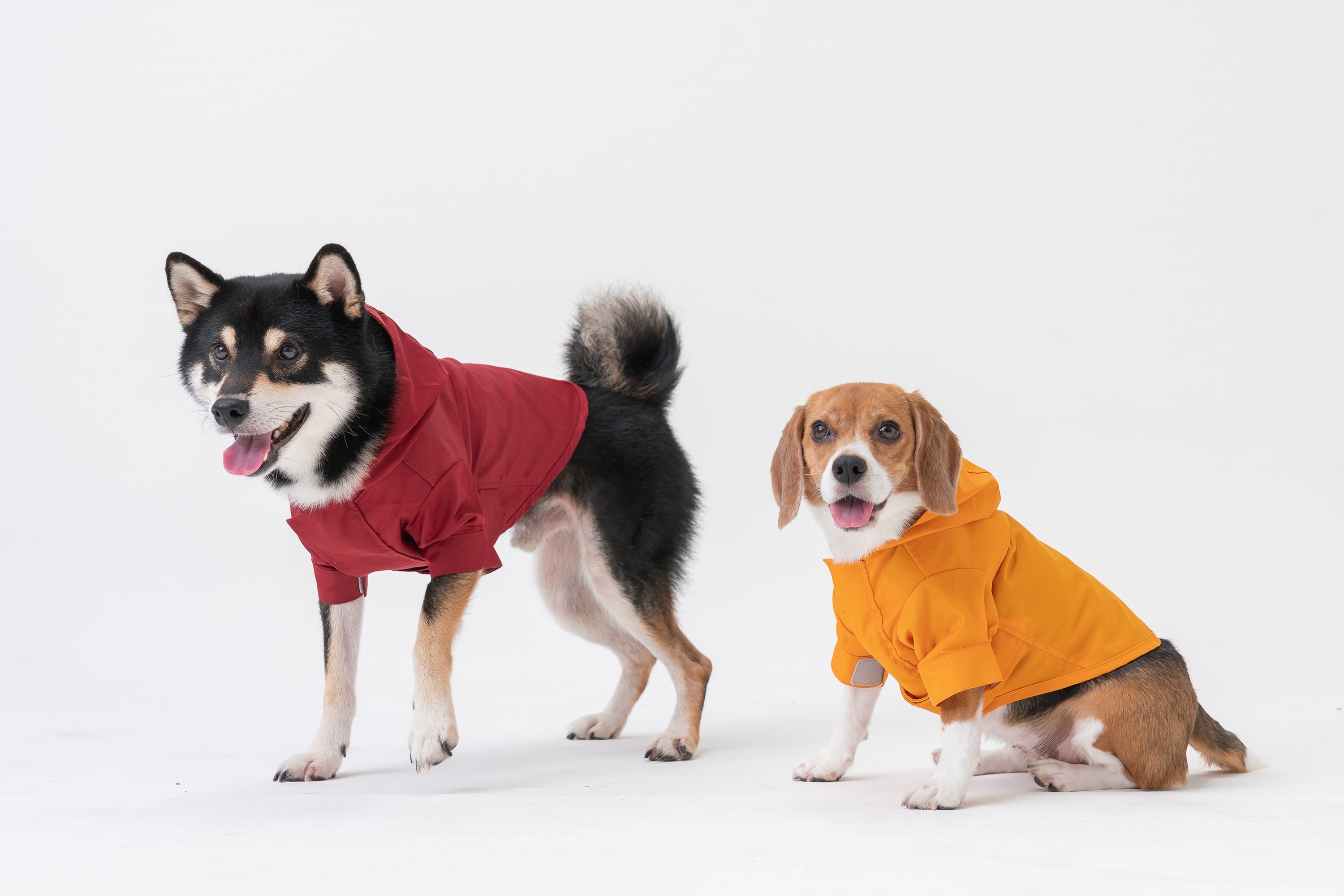 Tribeca Adjustable Velcro Raincoat-Burgundy