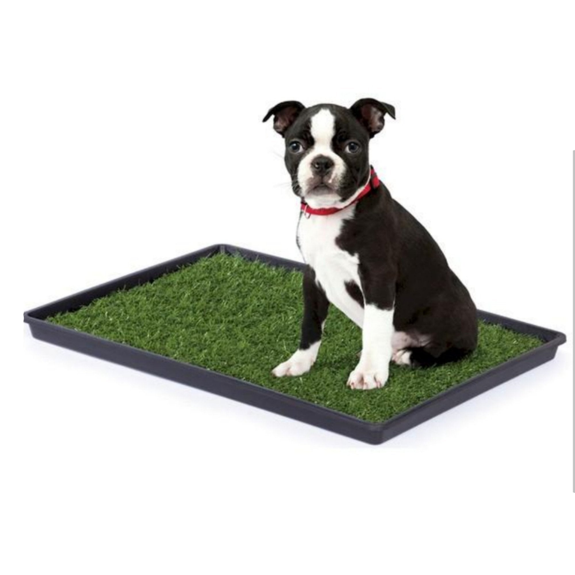 Mr. Peanuts Potty Place - Artificial Grass Puppy Pad for Dogs and Small Pets – Portable Training Pad with Tray