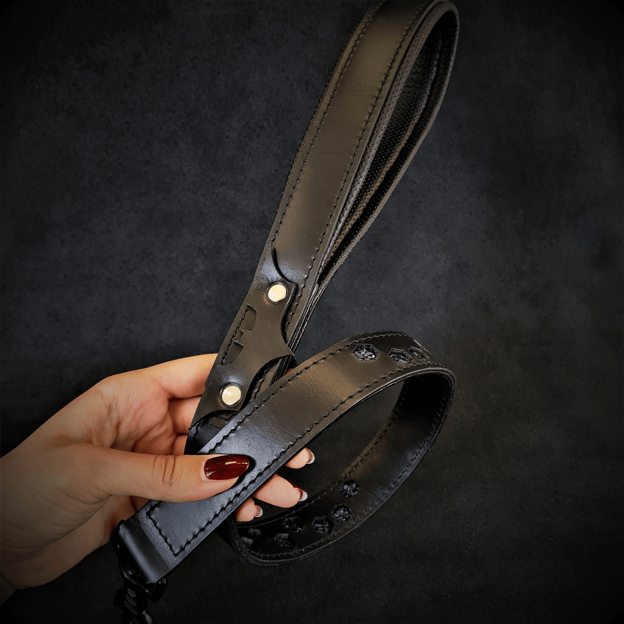 Bestia Batman Dog Leash