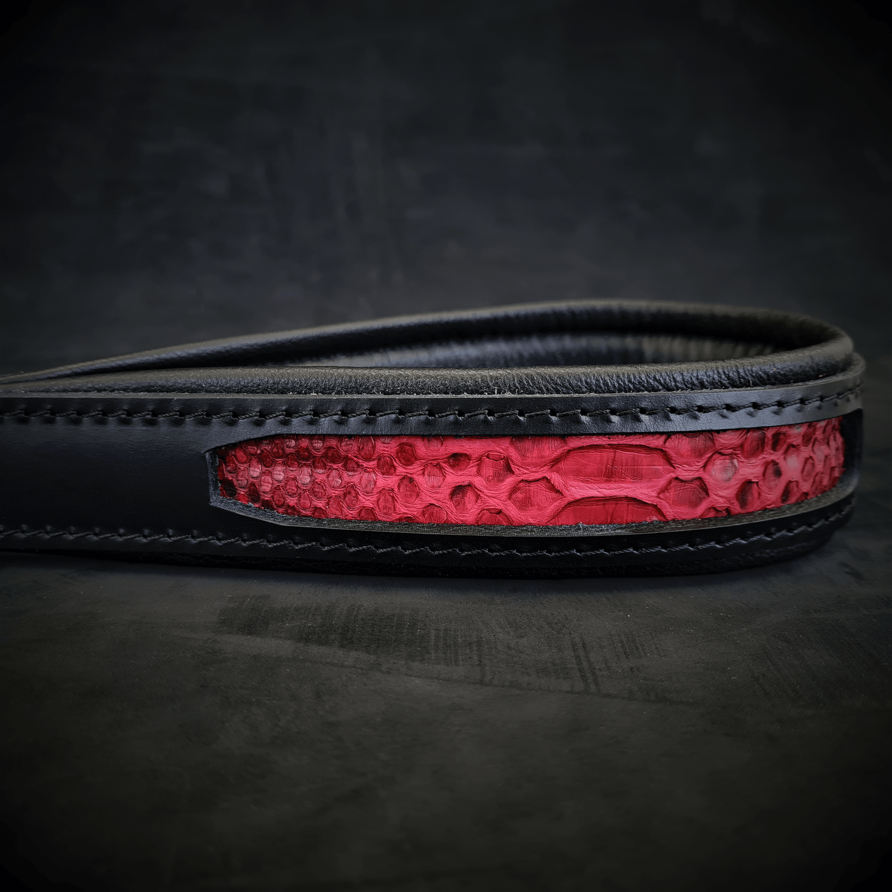 The Red Dragon leash