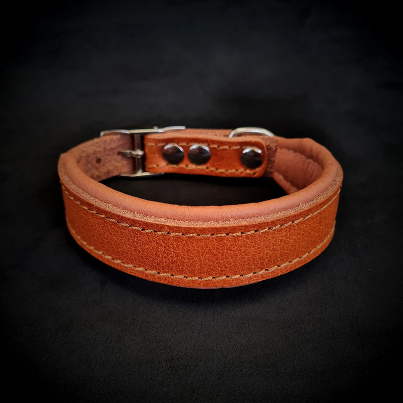 Bestia Dog Gear Clean Puppy Collar Genuine Leather Black pet supplies