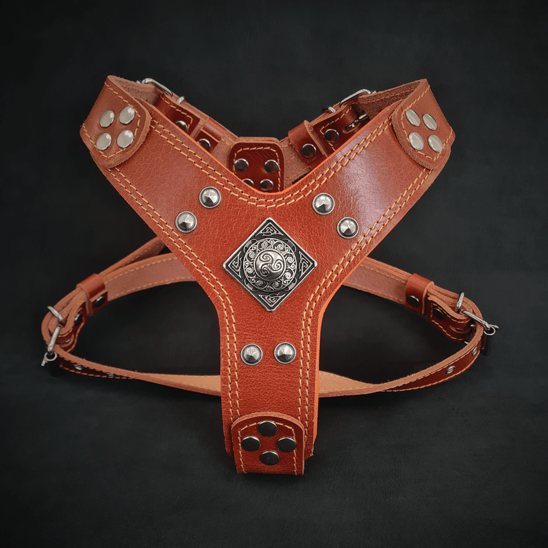 Bestia Dog Gear The Eros harness brown Small to Medium Size Genuine Leather Brown pet supplies
