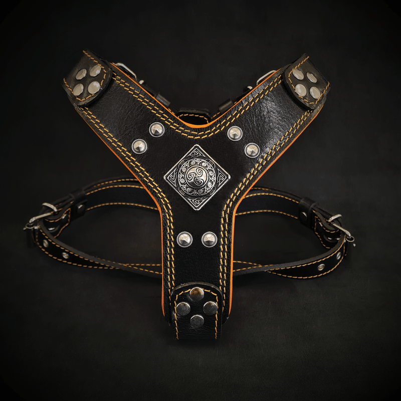 Bestia Dog Gear The Eros harness Black & Orange Small to Medium Size Genuine Leather Black pet supplies