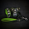 Bestia Dog Gear Genuine Leather Dog Collar - Green