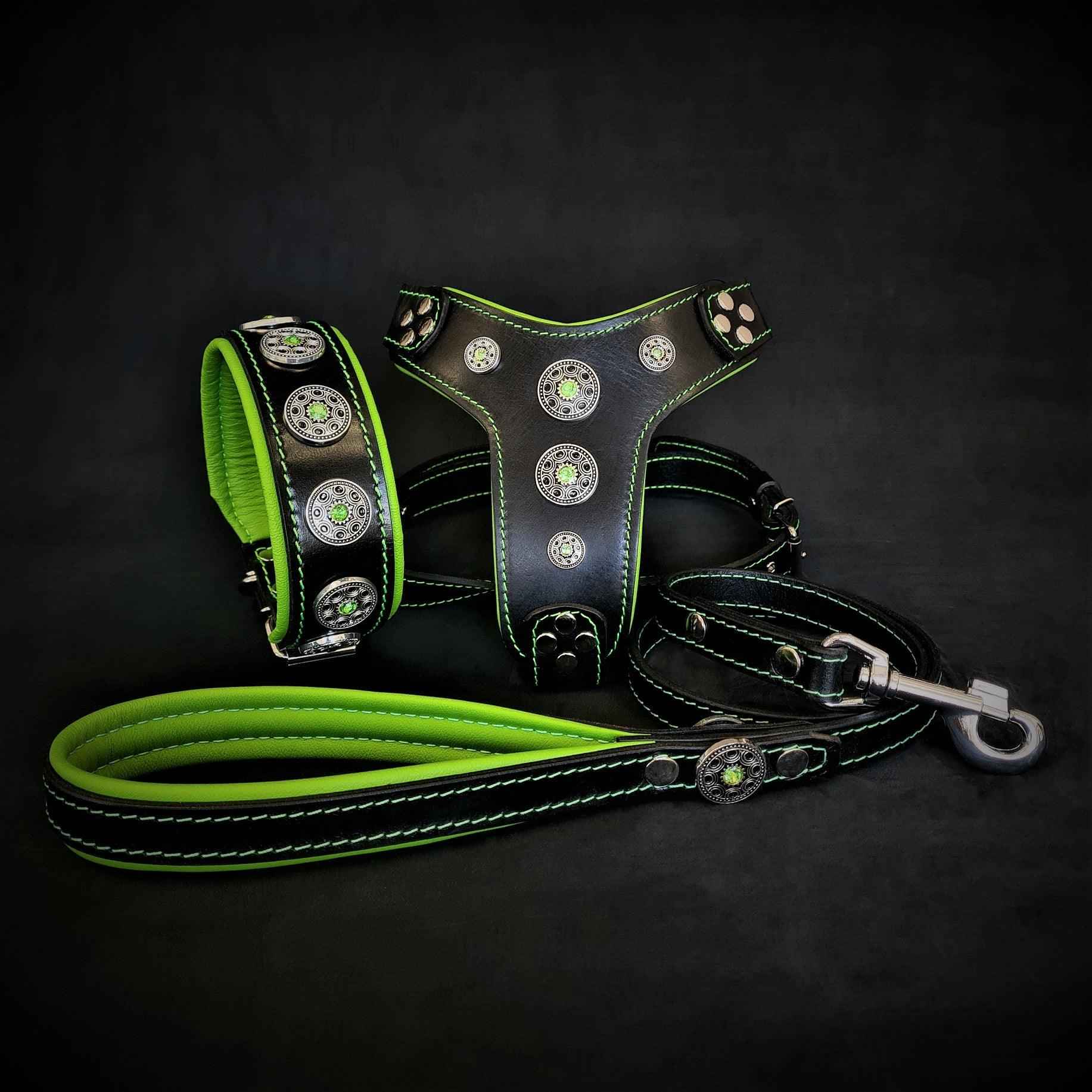 Bestia Bijou Green Leather Dog Harness, Collar & Leash Set