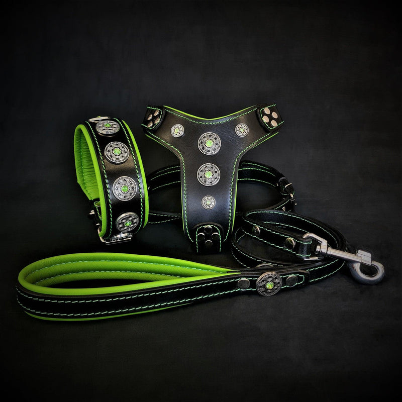 Bestia Dog Gear The Bijou SET - Collar, Harness, Leash. Green Genuine Leather Green pet supplies