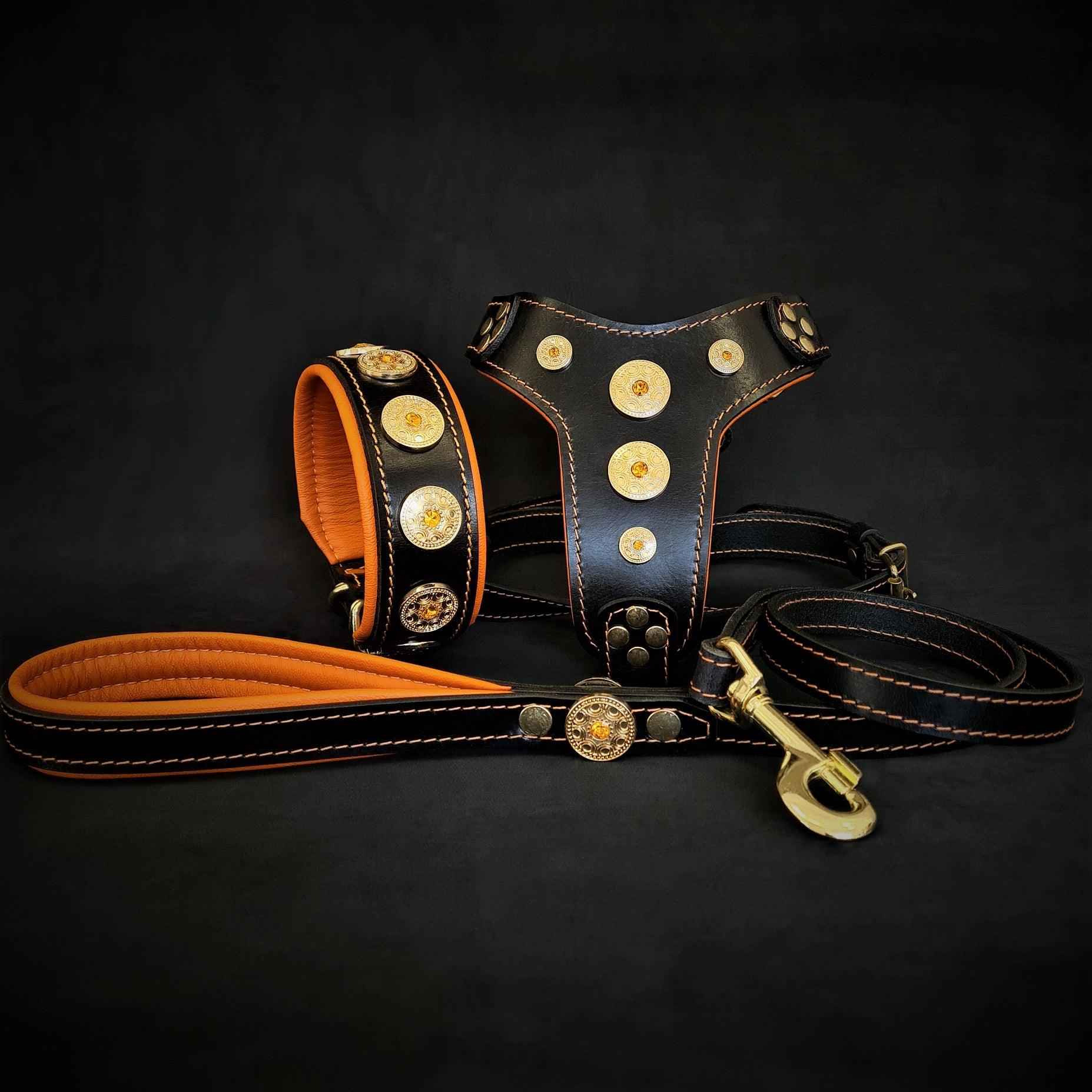 Bestia Bijou Orange Leather Dog Harness, Collar & Leash Set