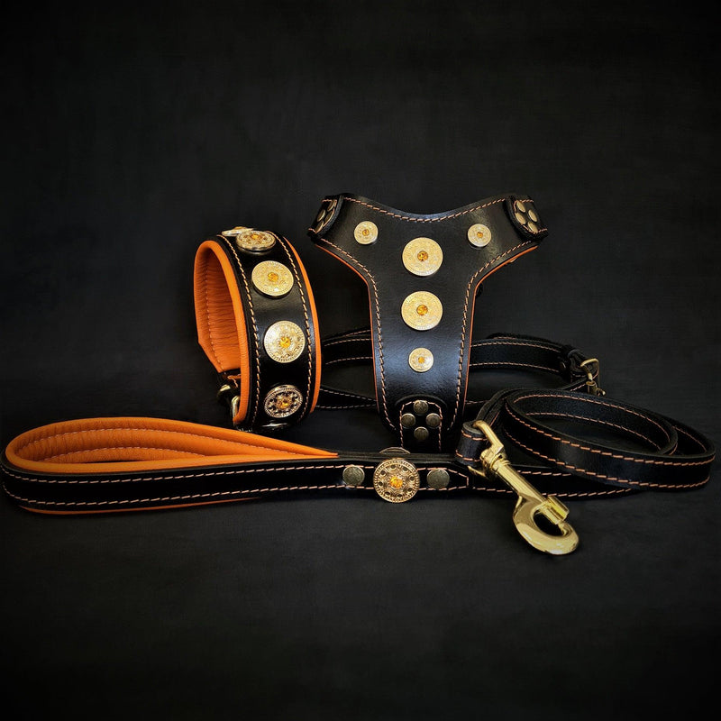 Bestia Dog Gear The Bijou SET - Collar, Harness, Leash. Orange Genuine Leather Orange pet supplies