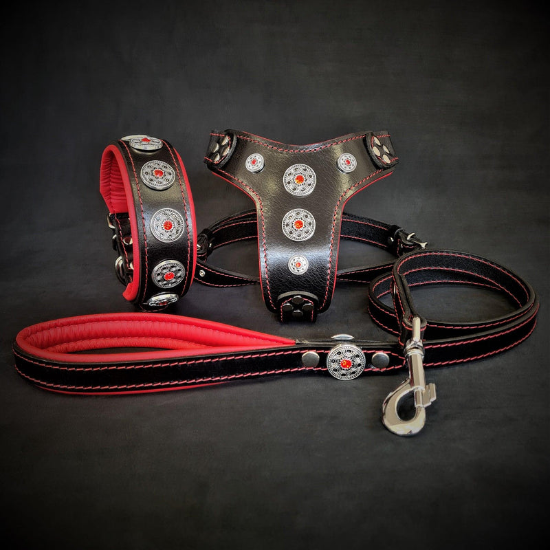 Bestia Dog Gear The Bijou SET - Collar, Harness, Leash. Red Genuine Leather Red pet supplies