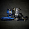 Bestia Dog Gear Genuine Leather Dog Collar - Blue