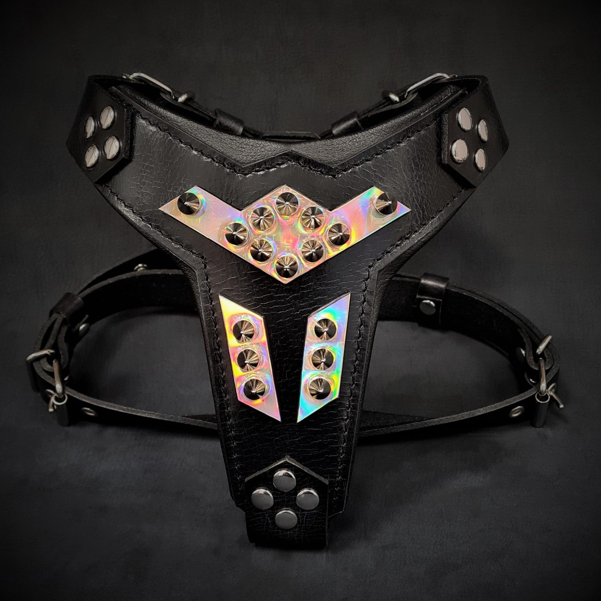 Bestia Dog Gear Midas leather dog harness silver medium size Genuine Leather Silver pet supplies