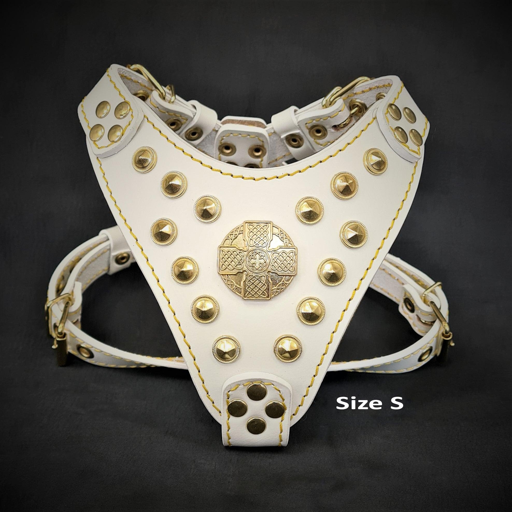 The Maximus harness White & Gold Small to Medium Size
