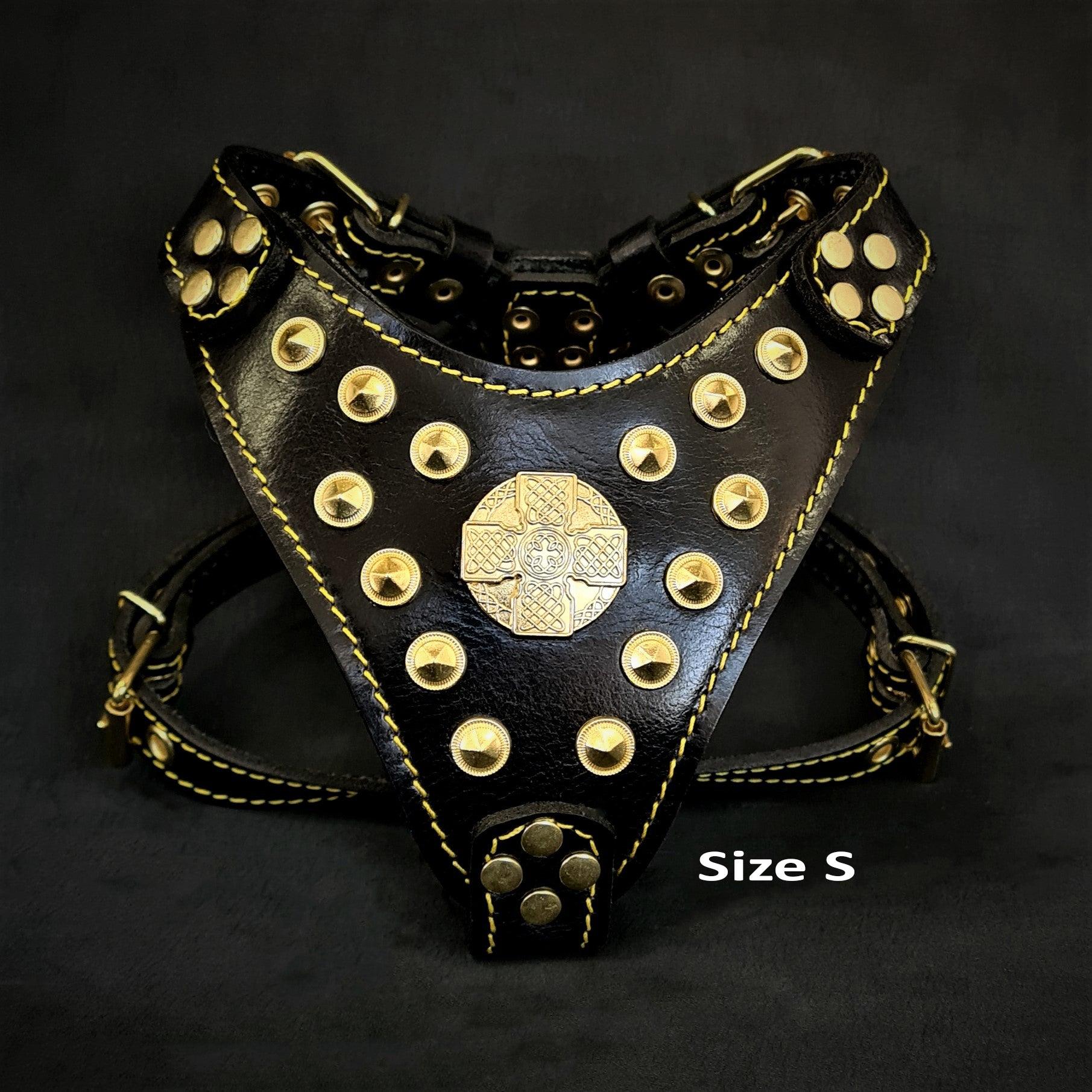 The Maximus harness Black & Gold Small to Medium Size