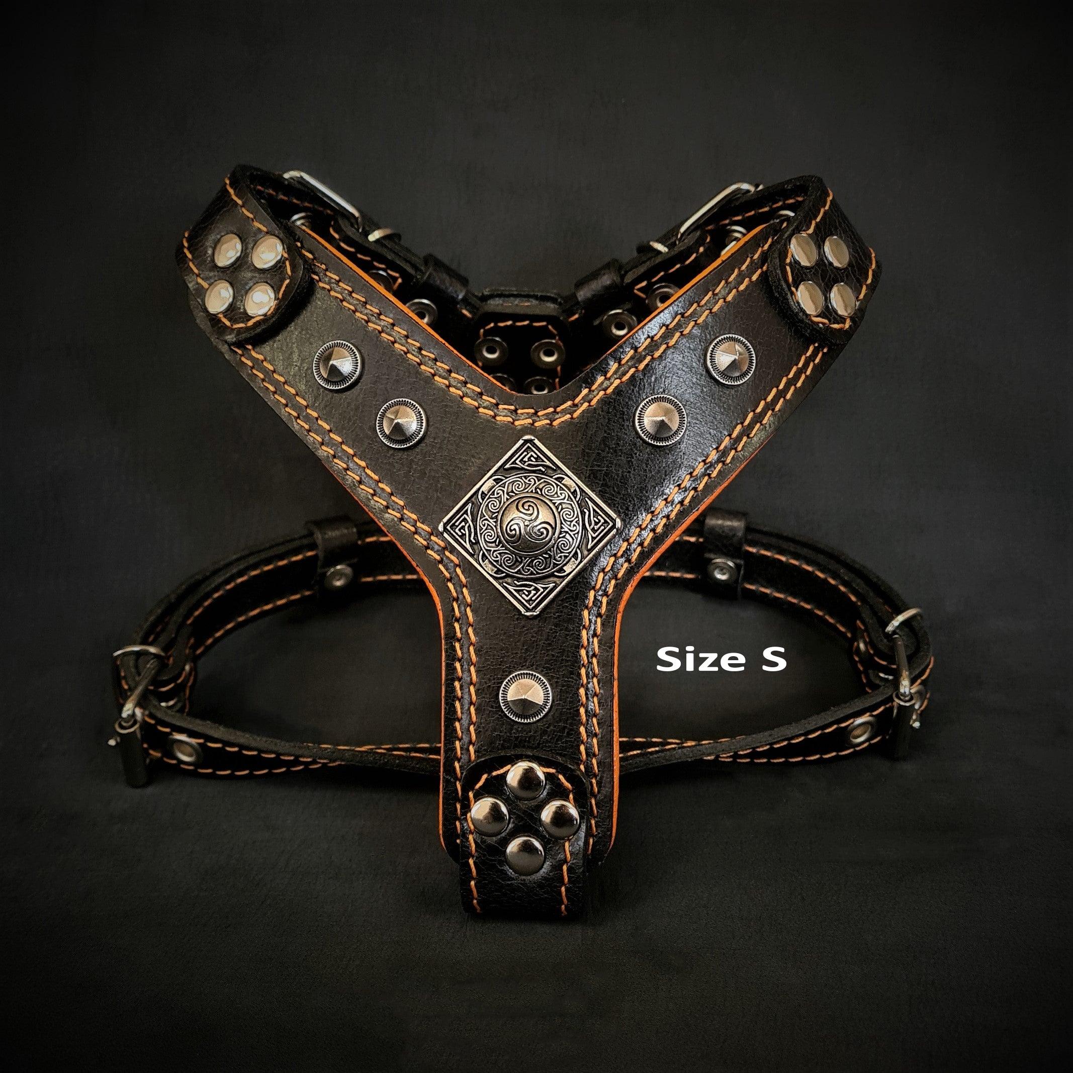 The Eros harness Black & Orange Small to Medium Size
