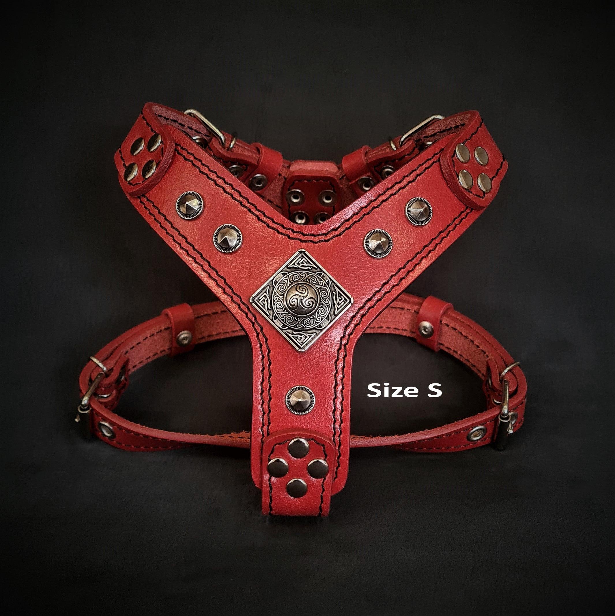 The Eros harness red Small to Medium Size