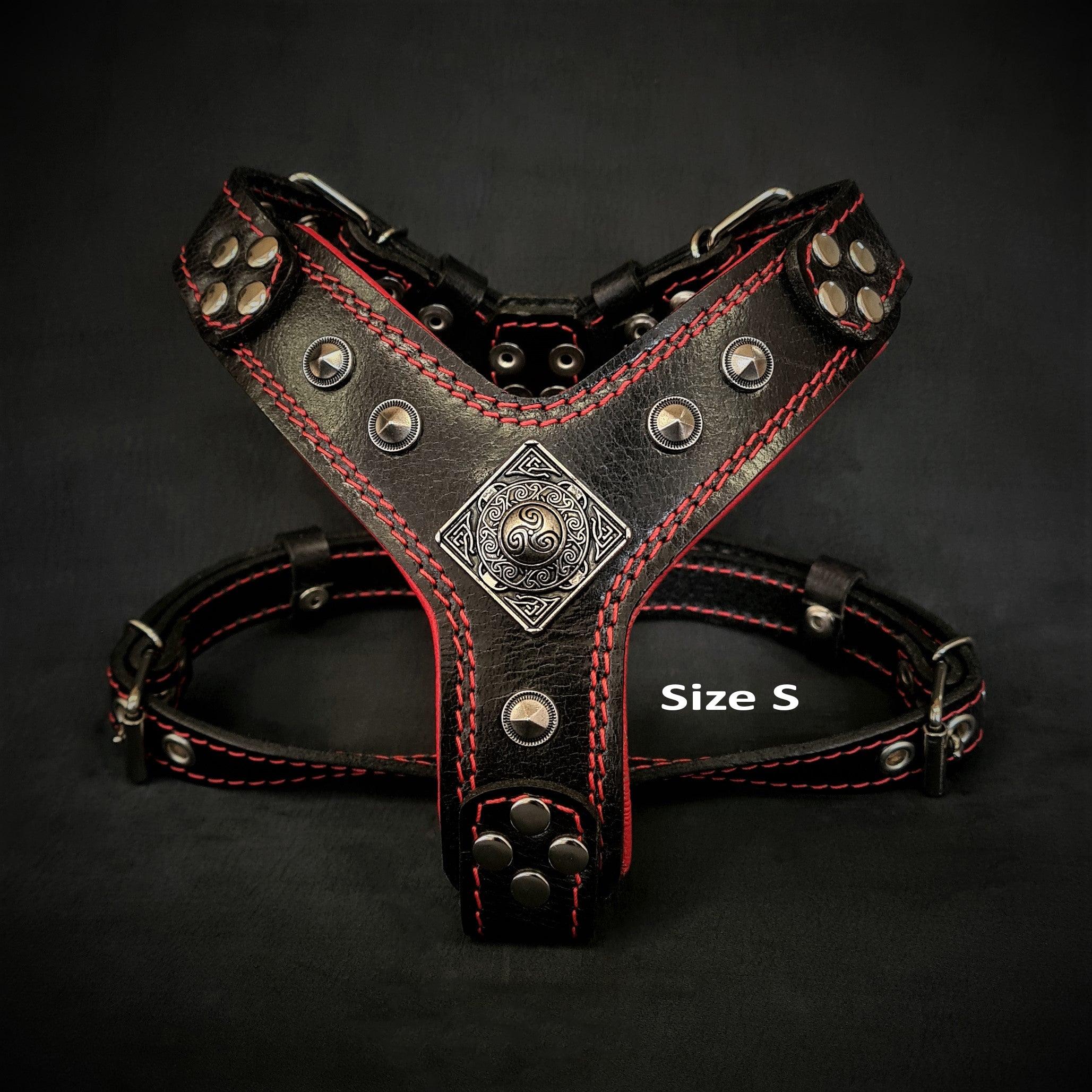 The Eros harness Black & Red Small to Medium Size