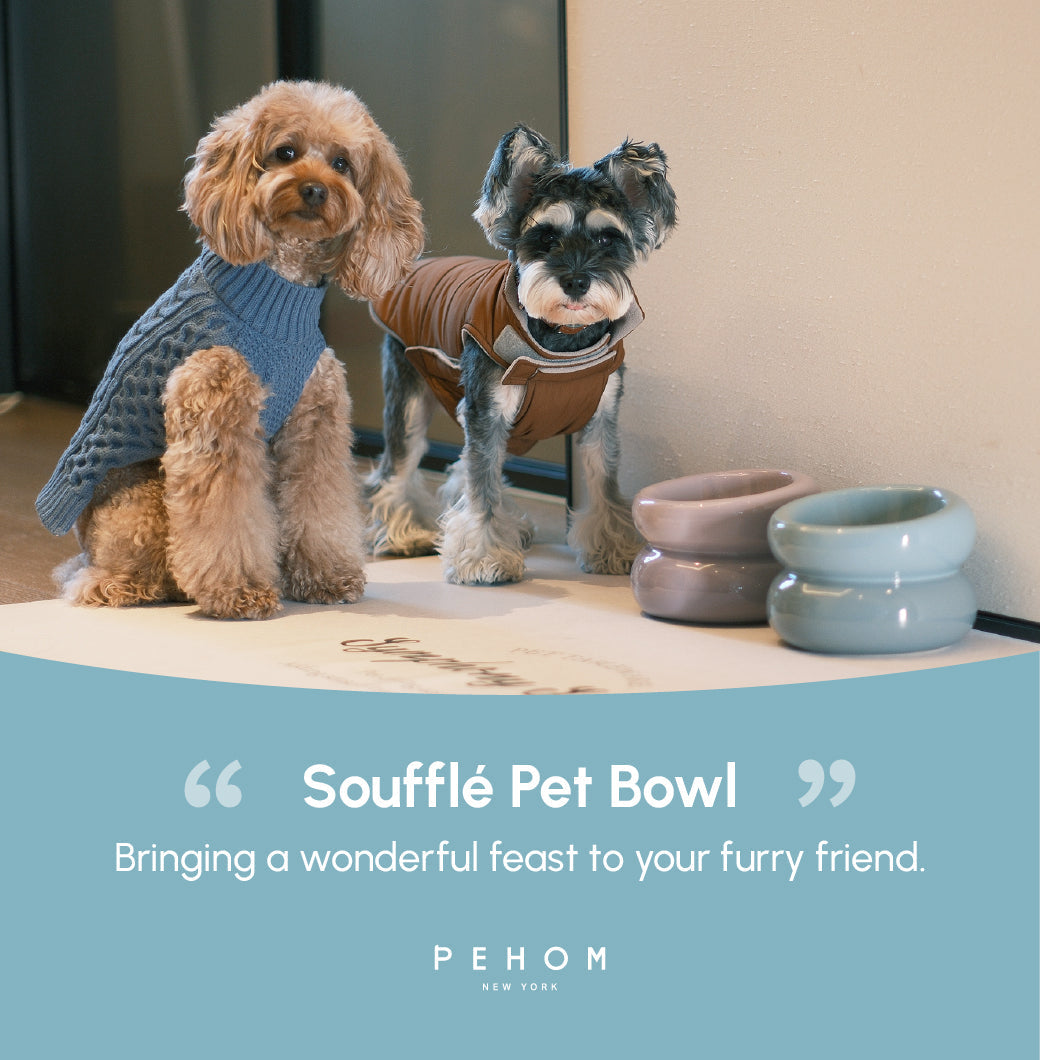 Souffle Pet Bowl-Frozen Blue