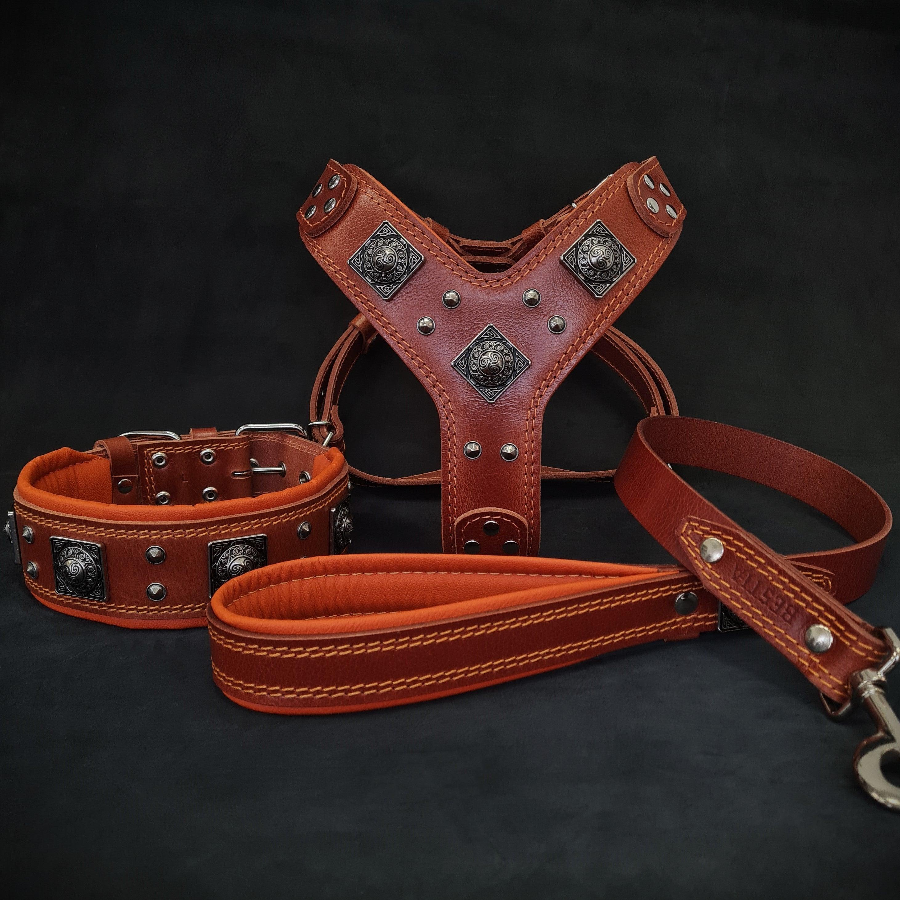 Bestia Dog Gear "EROS" BIG dog SET- Harness - collar - lead. Brown & Orange Genuine Leather Brown pet supplies