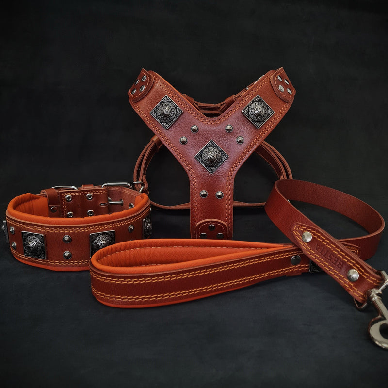 Bestia Dog Gear "EROS" BIG dog SET- Harness - collar - lead. Brown & Orange Genuine Leather Brown pet supplies