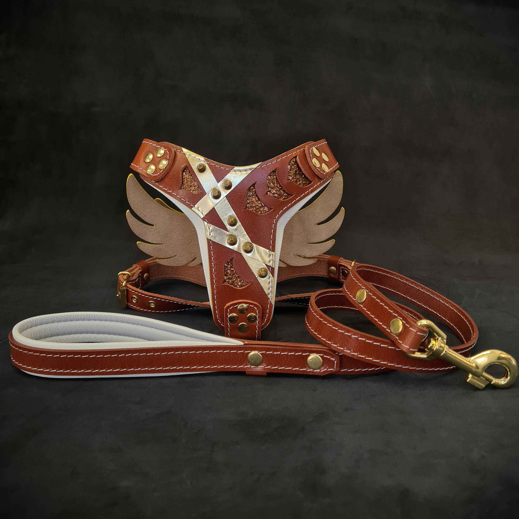 Bestia Hermes Leather Dog Harness & Leash Set