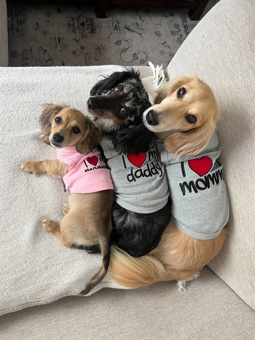 Parisian Pet I Love Mommy Dog & Cat Shirt - Cute Pet T-Shirt, Pink-Valentines Day