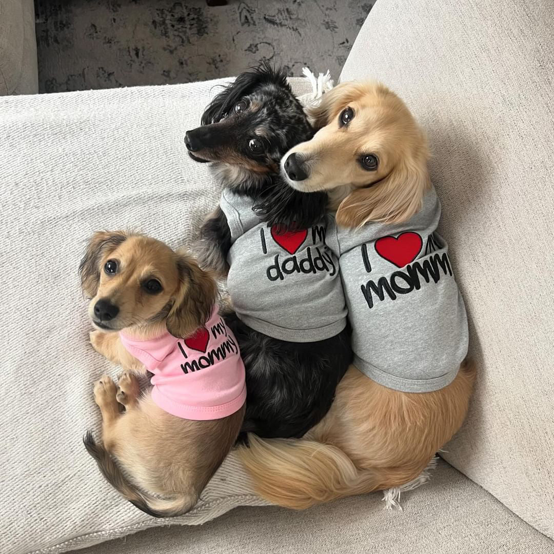 Parisian Pet I Love Daddy Lightweight Pet T-Shirt  Stylish Dog Clothing for Small Dogs & Cats, Gray