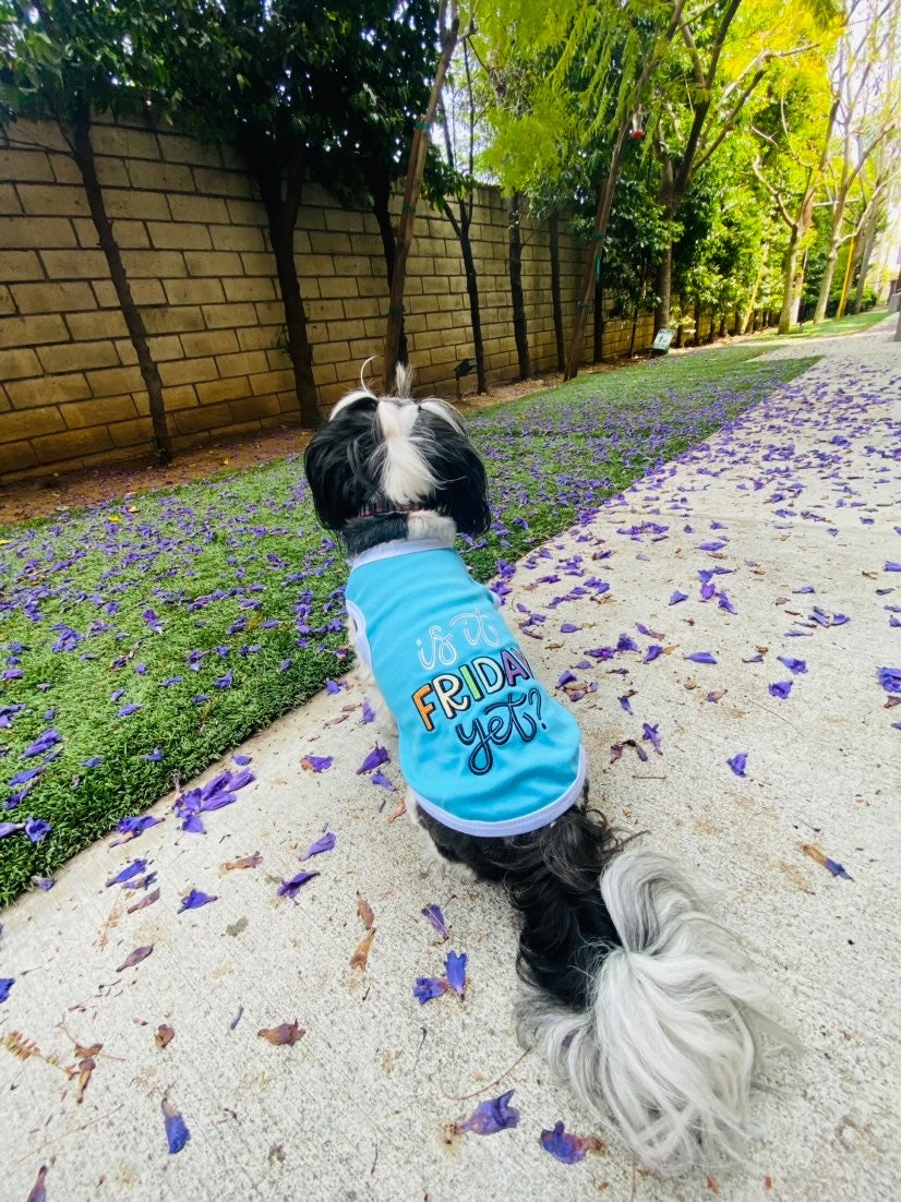 Parisian Pet Is It Friday Yet? Embroidered Dog T-Shirt-Light Blue