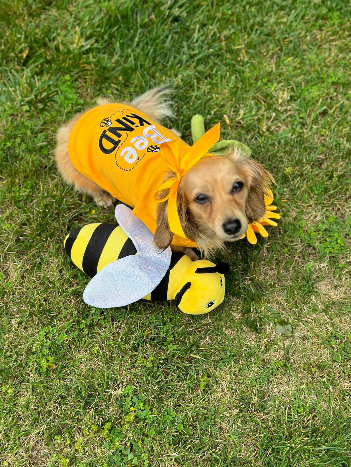 Parisian Pet Bee Kind Embroidered Dog T-Shirt-Yellow