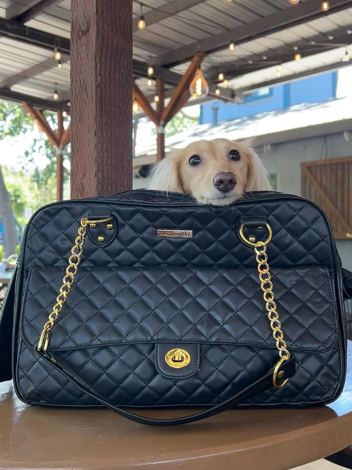 Parisian Pet London Quilted Carrier-Black